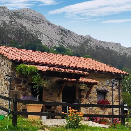 Cabana Del Jerreru Alea Bagian luar foto